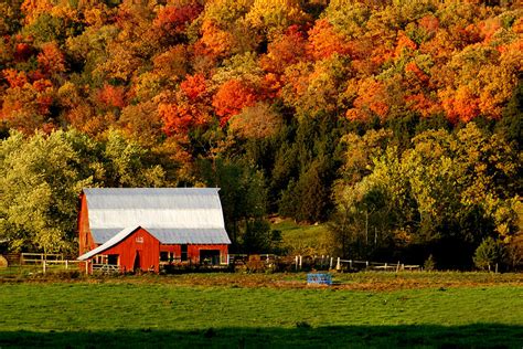 Country Barn in the Fall Photograph by DYSong Photography | Fine Art ...