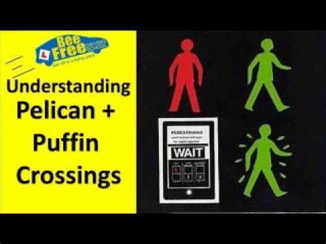 UK Driving Test 2024: Essential Guide to Pelican and Puffin Crossings ...