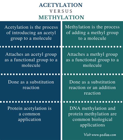 Unterschied zwischen Acetylierung und Methylierung - Nachrichten 2024