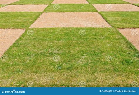 Square Pattern A Green Grass Stock Photo - Image of lawn, color: 14564806