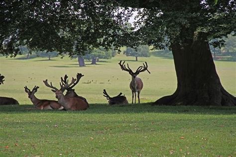 Woburn Abbey and Gardens - All You Need to Know Before You Go (with Photos) - TripAdvisor