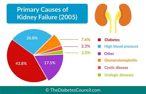 Diabetes And Renal Failure: Everything You Need To Know