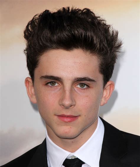 Timothee Chalamet Short Straight Dark Brunette Hairstyle