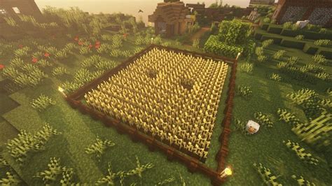 Minecraft Wheat Farm Design