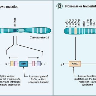 A Review on the Role of Genetic Mutations in the Autism Spectrum Disorder | Request PDF