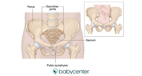 Pubic symphysis dysfunction (SPD) during pregnancy | BabyCenter