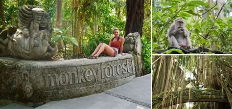 UBUD MONKEY FOREST - #1 The Best Tourist Place At Ubud