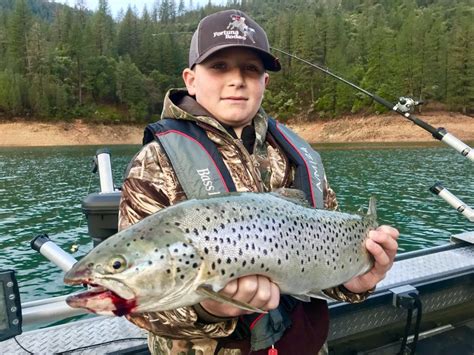 Shasta Lake Fish Report - Shasta Lake - Spring Tactics for Fishing Shasta Lake Trout and Salmon ...