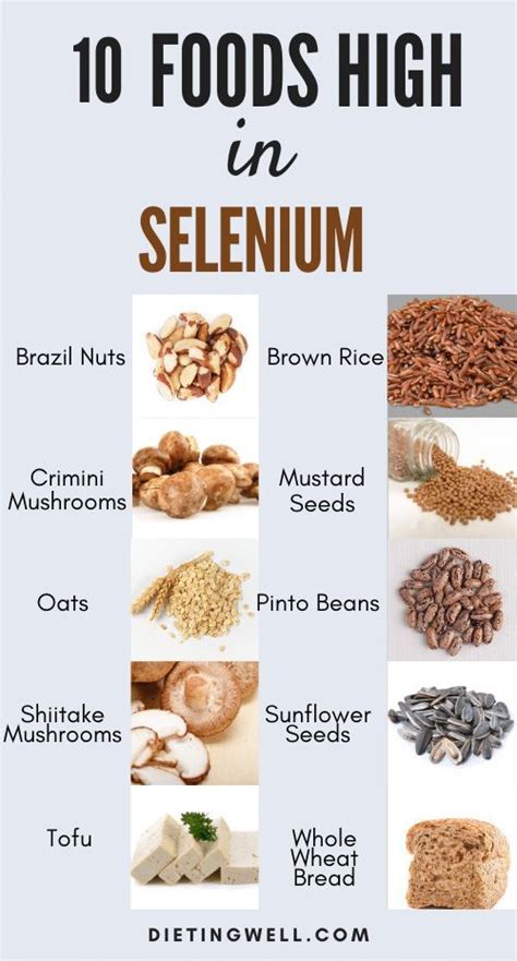 10 Nutritious Plant Foods Rich in Selenium | Selenium rich foods, Healthy food choices, Good ...