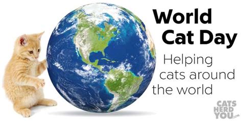 World Cat Day - Cats Herd You