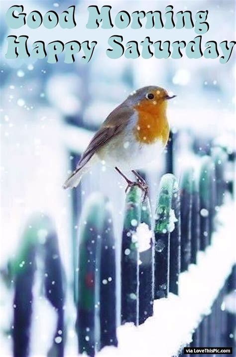 Winter Good Morning Happy Saturday Quote Pictures, Photos, and Images for Facebook, Tumblr ...