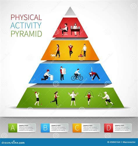 Physical Activity Pyramid Infographic Stock Vector - Image: 45065164