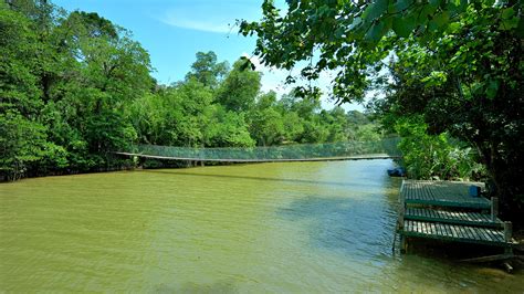 Taman Negara National Park, MY holiday accommodation: & more | Stayz