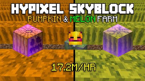 How MelonKing Farms 17.2 MILLION COINS Per Hour in Hypixel Skyblock ...