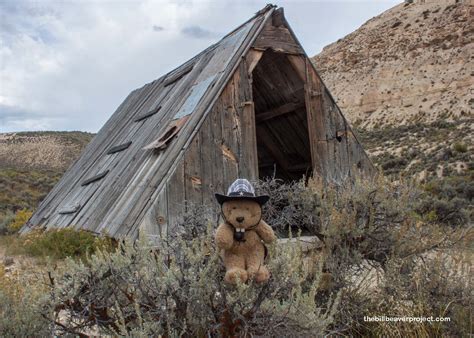 Fossil Butte National Monument! - The Bill Beaver Project