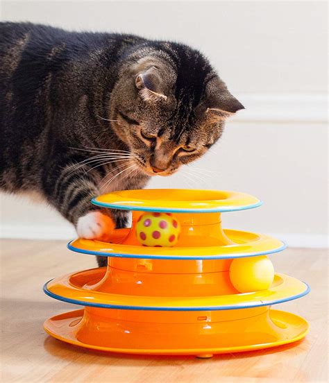 Fight Your Cat’s Boredom With Enrichment Toys - JammieCat.com