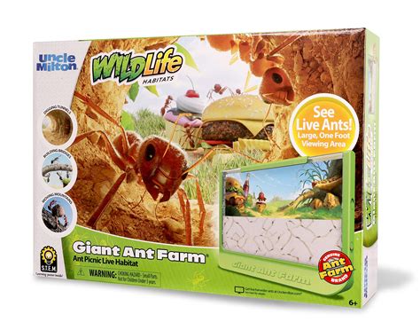 Buy Uncle Milton Giant Ant Farm - Large Viewing Area - Care for Live ...