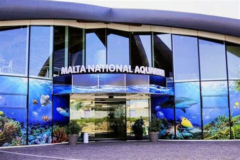 Malta National Aquarium: tickets, opening hours & free entry - My Pretty Travels