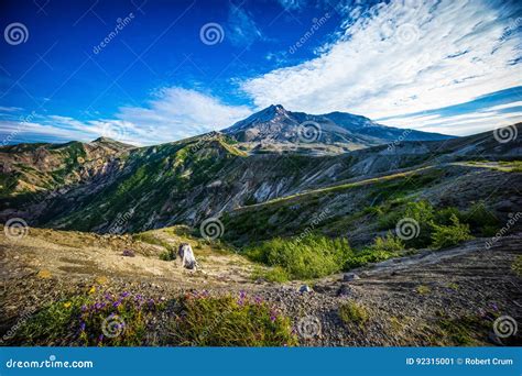 Mount St. Helens Volcano and the Blast Zone Landscape Stock Image ...