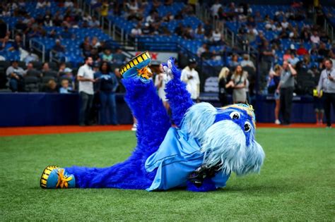 Tampa Bay Rays Mascot - The Oriole Bird's History, Funny Incidents, and ...