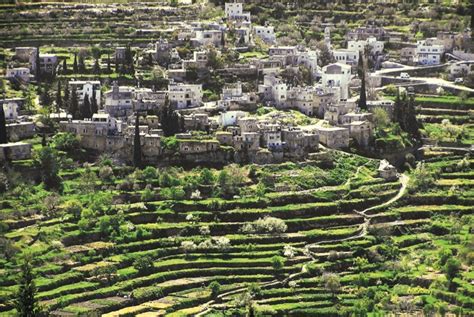 „Land of Olives and Vines“ as a UNESCO World Heritage Site: Battir in ...