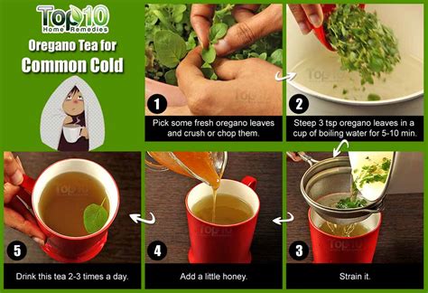 Top 10 Health Benefits of Oregano | Top 10 Home Remedies