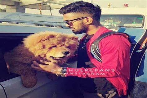 KL Rahul hairstyle over the years in Photos - India Fantasy