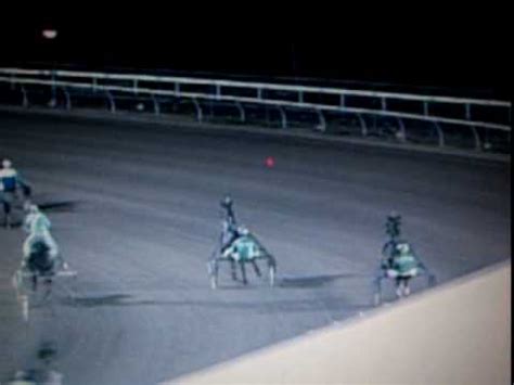 CAL EXPO HARNESS RIDERS AMAZING STOP - YouTube