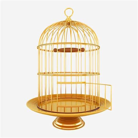 Bird Gold Cage