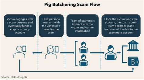 Slaughtering the Pig Butchers - Datos Insights