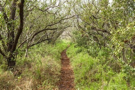 Hiking Florida – Flamingo, Everglades National Park | Nick Botner