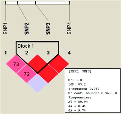 Haplotype block (Block 1) generated with Haploview. LOD score >2.0; r2... | Download Scientific ...