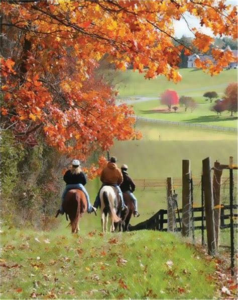Pin by Melpo Siouti on Autumn on the Farm | Horseback riding, Horse love, Horses