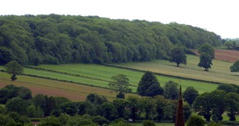 The mapped history of Ploughman Wood – part 1 – Notes from a Nottinghamshire Naturalist