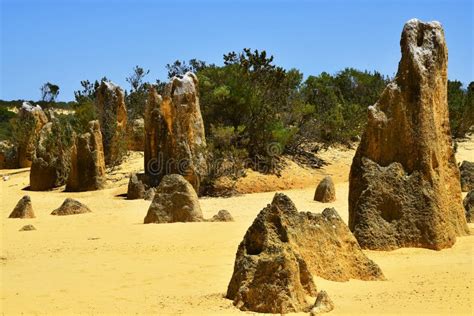 Australia, WA, the Pinnacles in Nambung National Park Stock Photo - Image of area, landmark ...