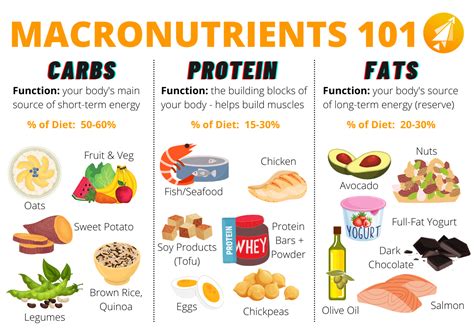 MACRONUTRIENTS 101: The 3 Most Important Nutrients to Include in Your ...