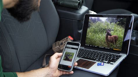 Best Trail Camera Tips for Deer Season | BuckScore