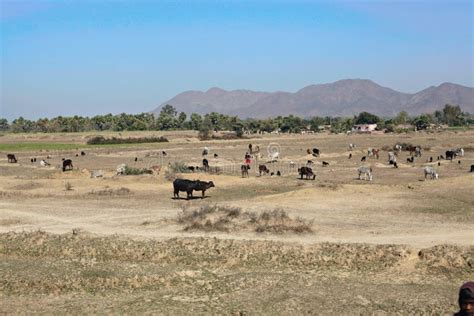 India Rural Houses and Lendscapes Stock Photo - Image of people ...