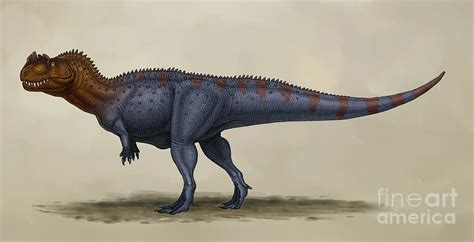 Ceratosaurus Dentisulcatus, A Theropod Digital Art by Heraldo Mussolini