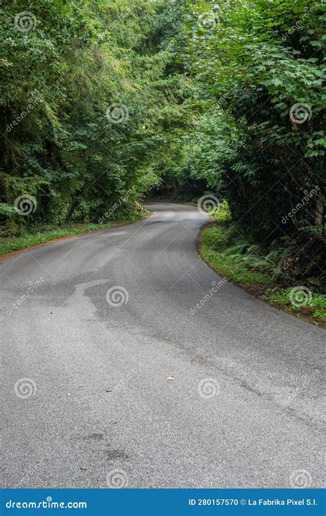 Country drive stock photo. Image of forest, travel, britany - 280157570