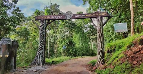 Bhadra Wildlife Sanctuary - Top Wildlife Sanctuaries in Karnataka - Top ...