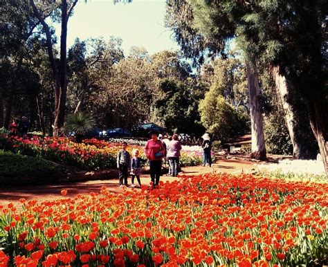 Araluen Botanical Park - Blog | - FREE online guide for families ...