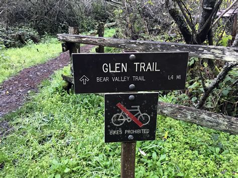 Glen Trail — Point Reyes Nature