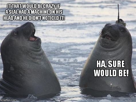 Two Awkward Seals - Imgflip