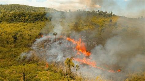 Deforestation in the Philippines Stock Photo - Image of exploitation, climate: 41055958