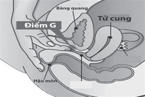 Điểm G là gì? Cách kích thích điểm G khiến nàng thăng hoa