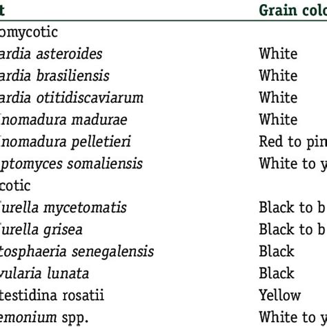 Mycetoma causing organisms and the color of grains they produce | Download Scientific Diagram