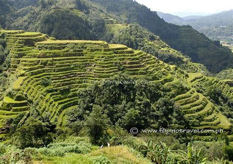 Cordillera Information Page - Philippines Banaue & Sagada Tours, Manila Day Tours