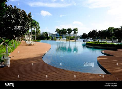 Pool at the W Hotel on Sentosa Island, Singapore Stock Photo - Alamy