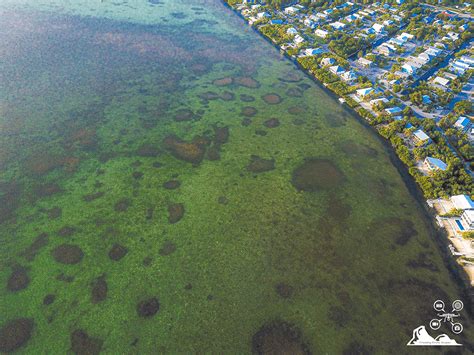 Cudjoe Key Water | Traveling Drone Scapes